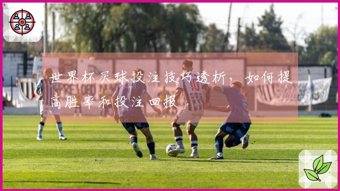 世界杯买球投注技巧透析，如何提高胜率和投注回报